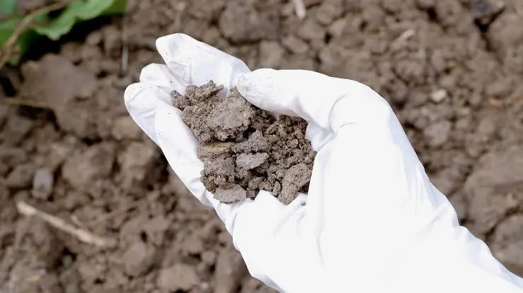Asbestos Contaminated Soil Remediation